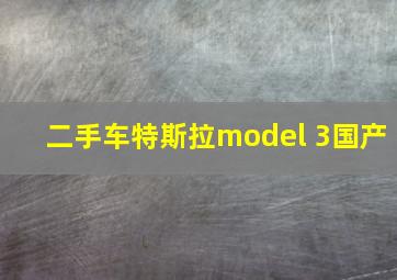 二手车特斯拉model 3国产